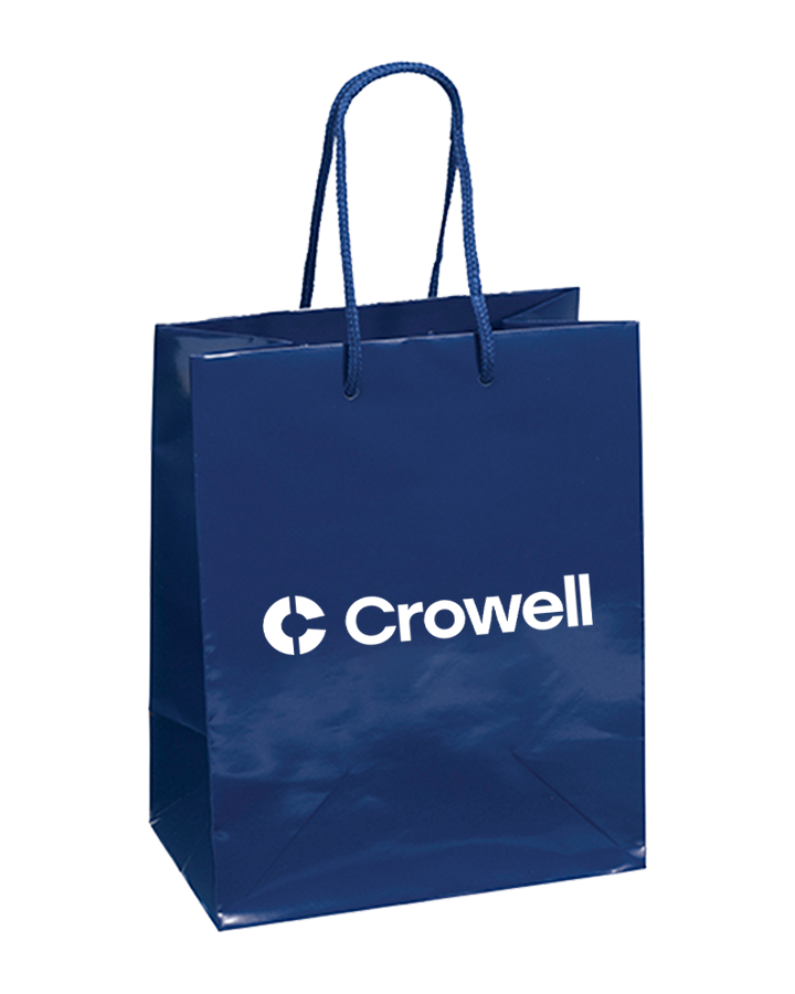 Glossy Gift Bag